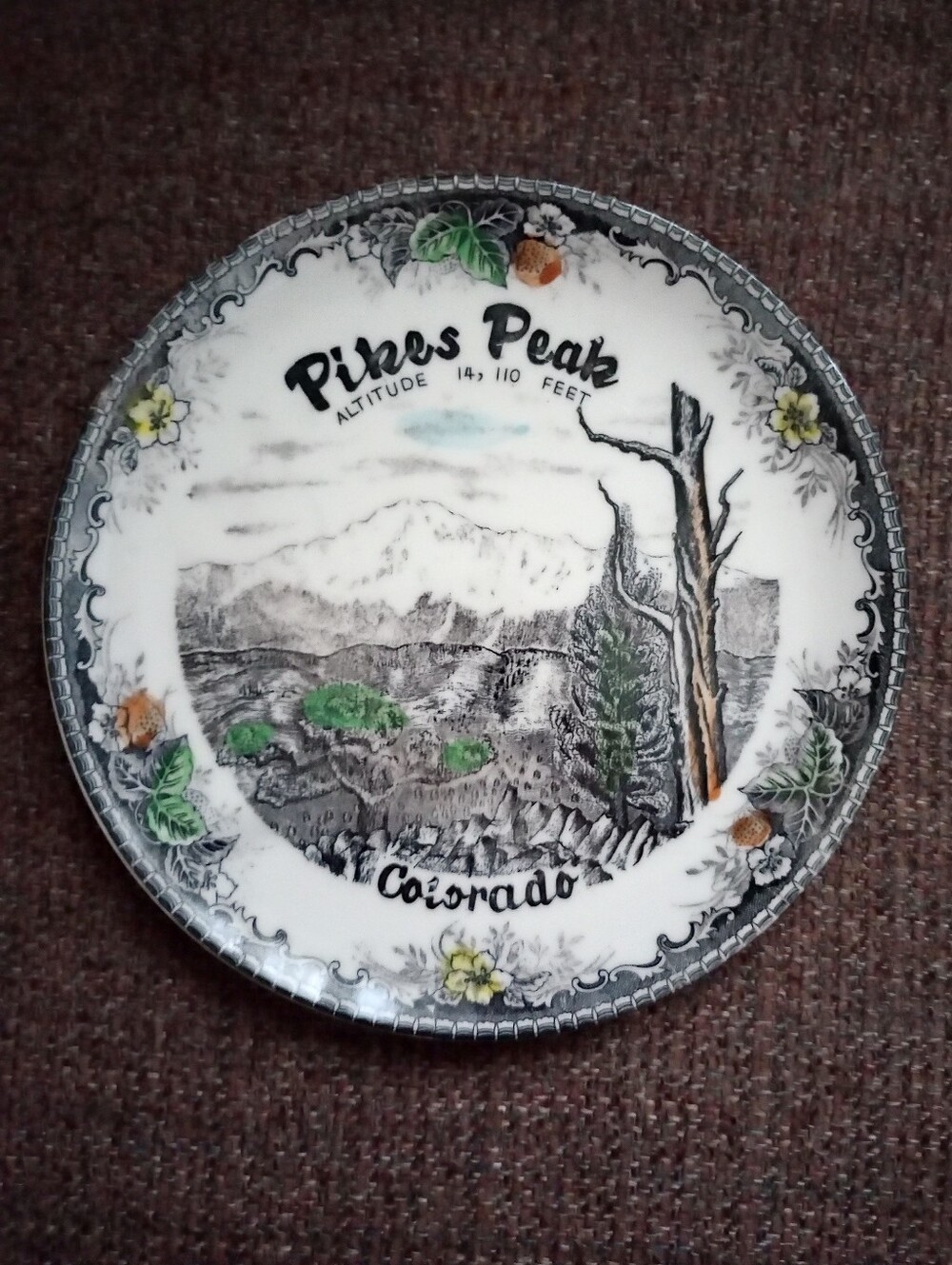 Vintage Pikes Peak Colorado 9.25" Decorative Souvenir Collectors Plate -